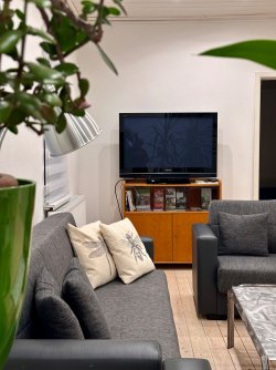 Wohnzimmer, Couch, TV